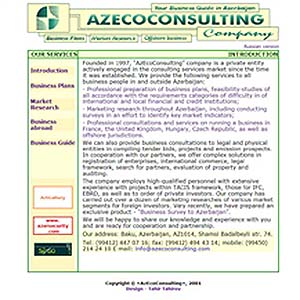 azecoconsulting.com